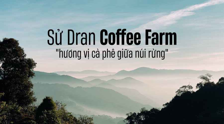 Sử Dran Coffee Farm - Thưởng thức 'Hương vị thuần khiết' của cà phê