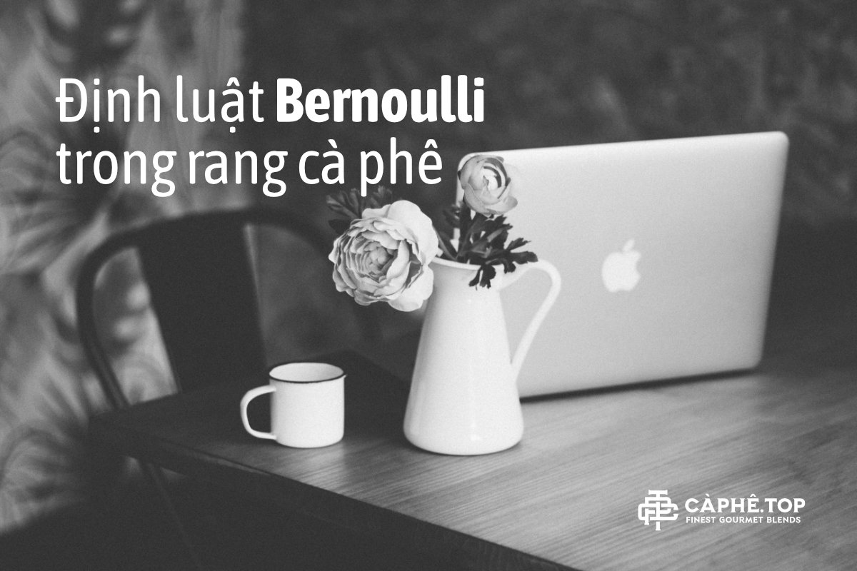 Định luật của Bernoulli trong quá trình rang cà phê